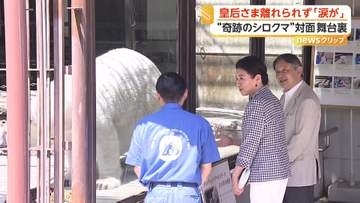 皇后さまも涙の“奇跡のシロクマ”ピース　普段より白さが際立った理由は「体を清めて両陛下をお迎え」　季節も影響