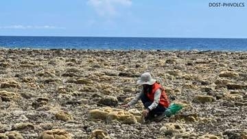 フィリピン大地震で海底2m隆起　魚や貝の大量死も　ミンダナオ島南部の海岸はサンゴ礁“むき出し”　能登半島地震と同様の現象