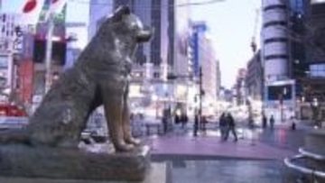 渋谷「ハチ公像」周辺封鎖…元日午前1時まで　混雑緩和へ駅前イベント中止し警備強化　コンビニなどに夜間の酒類販売自粛呼びかけ