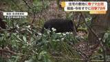 「住宅の敷地にクマ出没　2日連続の目撃に住民「大きさはともかくクマは怖い」　福島・会津美里町」の画像1