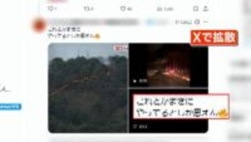 岩手の山林火災でSNS“陰謀論”投稿の真偽を検証　元動画はアメリカの山火事対策「バック・ファイア」か