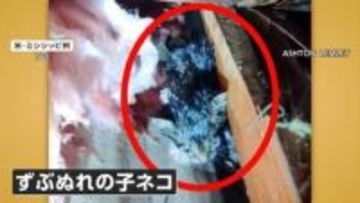 瓦礫をどけると“子猫”　3つの竜巻が建物を襲う　約500軒の住宅被害も死者なし　アメリカ