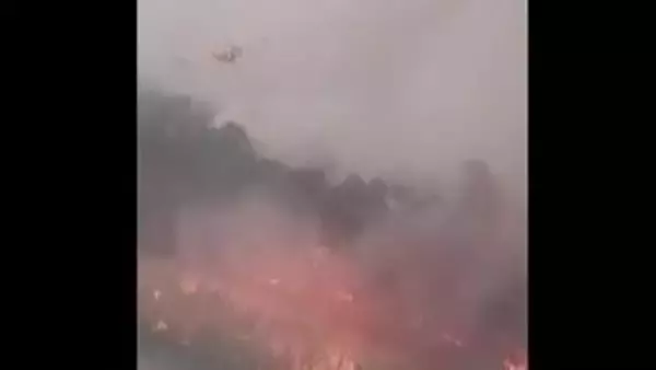 フランス山火事　ワイン名産地・ボルドー市街地15kmに迫る　マクロン大統領「第2次世界大戦以降最悪の事態」