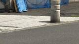 「顔にケチャップかけた疑いで高校生ら4人逮捕「反応を見るのが面白かった」すれ違いざま10人に　万引きマヨネーズも　東京・葛飾区」の画像1