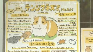 「詐欺かと思った」出版社から突然の連絡…動物園の飼育員（25）が描く「どうぶつ図鑑」秋に出版へ　SNSで2万超の「いいね」　イラストで動物の魅力や面白さをより多くの人に　「動物への世界を広げたい」