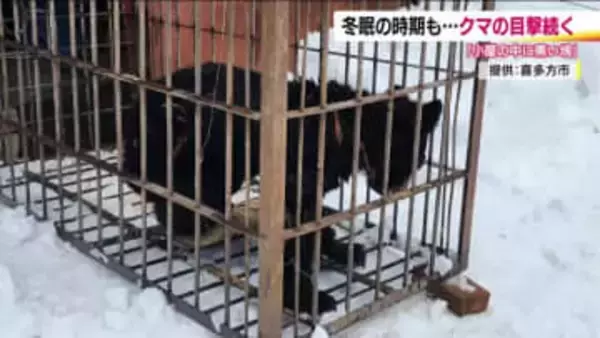 物置小屋で眠る熊も…冬眠しない“穴持たず”に注意！　福島県では4月までクマ出没注意報を発令　雪の会津地方で目撃相次ぐ