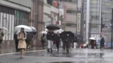 各地で待望の恵みの雨…大人気の子ザル「パンチ君」も雨宿り　都心でも117日ぶりのまとまった雨　気温も急低下