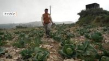 原油不足でアジアの農家悲鳴　キャベツ出荷しても“赤字”畑で腐らせること選んだ農家も　ガソリンスタンドは「燃料なし」