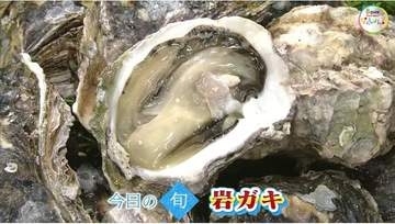 「パカッ！」と殻を開けた瞬間の身のプリプリ感…夏が旬「岩ガキ」のあふれるうま味と濃厚なコク【岡山・香川発】