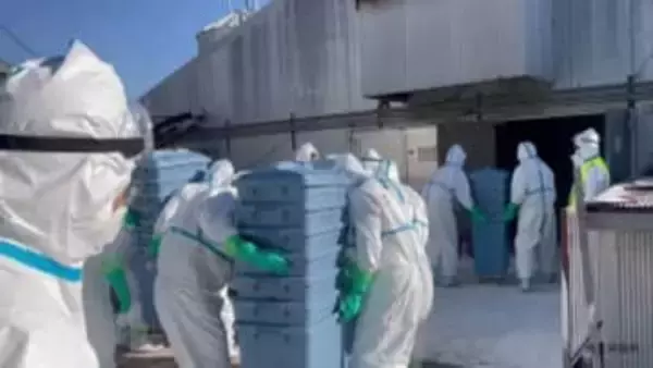 養鶏場のニワトリに鳥インフルエンザ陽性確認…30日朝から24万羽の殺処分始まる　29日に42羽死ぬ　埼玉・嵐山町