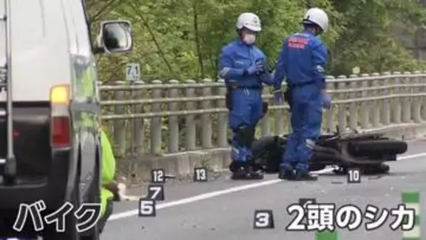 事故現場に“バイクと人と鹿”　バイクの男性がシカに衝突、転倒し後続車にはねられ死亡か　ひき逃げ事件として行方追う　群馬・渋川市
