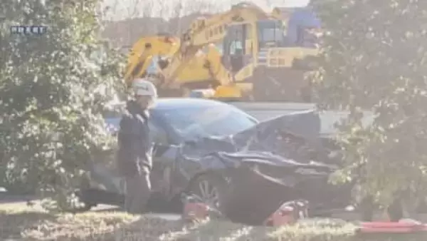 街路樹倒れ車と衝突　家族4人けが　高さ12mのケヤキ　埼玉・狭山市