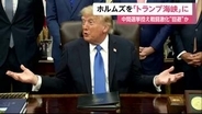 トランプ大統領「ホルムズ海峡を『トランプ海峡』に変更しては」　イランへの追加攻撃も辞さない姿勢　一方で“戦闘激化回避”報道も