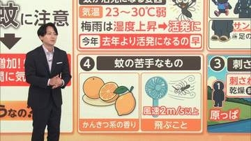 「ブ～ン」厄介な“蚊”の季節到来！狙われやすい「汗・足の臭い・飲酒・水辺・木陰」　苦手なのは「風・かんきつ系の香り…」