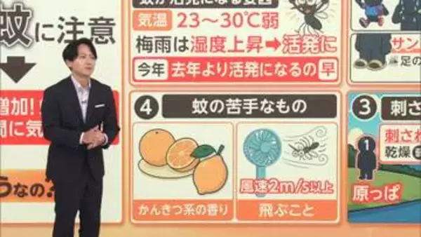 「ブ～ン」厄介な“蚊”の季節到来！狙われやすい「汗・足の臭い・飲酒・水辺・木陰」　苦手なのは「風・かんきつ系の香り…」