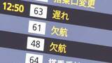 「航空管制システム障害　全国で航空便出発できず　JALとANAで欠航相次ぐ　国交省原因調べる」の画像1