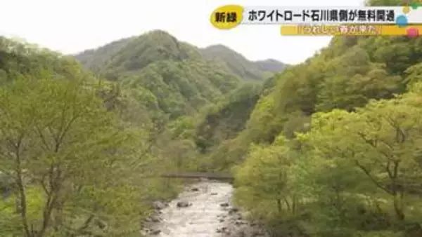 「春の“かおり”が全然違う」白山白川郷ホワイトロードの無料区間が開通！新緑4.5kmの絶景、あなたも感じてみては？