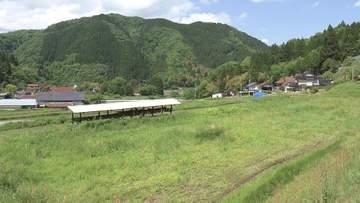 担い手不足と耕作放棄地解消へ　大阪と島根…都市と地方の新たな分業モデル「二拠点農業」　長年放置された田んぼに“新緑のベルベット”【島根発】