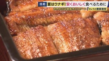 ”完全養殖”ウナギの未来を変えるか　資源量減少を劇的改善“卵から成魚まで”育てる技術　「何を食べるかわからなかった」エサ開発の苦労　「ほとんどオスになる養殖ウナギは琵琶湖で育てるとメスに」最新研究も