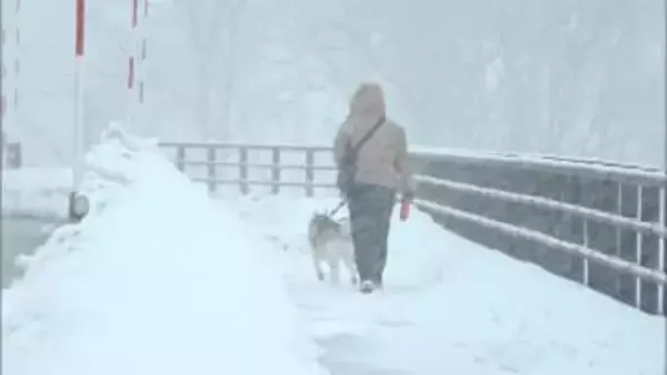 12日も大雪や“台風並み”暴風続く見込み　強風で「神戸ルミナリエ」一部が倒壊