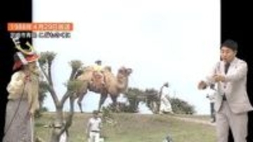 酷暑日が常態化？ラクダに乗ったあの日から現代、衝撃の2100年へ「昭和の日」に考える温暖化