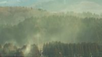 来春のスギ花粉は平年の1.4倍、富山県森林研究所が予測　例年よりやや多くなる見込み