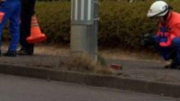 ワンボックスカーが歩道に乗り上げ3人はねる　1人意識不明　40代男を現行犯逮捕　仙台市