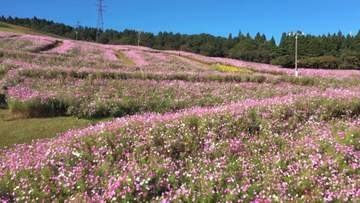 あすから3連休　全国で行楽日和に　都心は寒暖差10℃以上の日も　“ダブル台風”太平洋側は高波注意