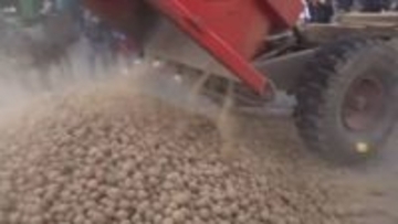 じゃがいも投げつける農家に警察が催涙ガスや放水で応戦　EU首脳会議会場近くに1万人以上　南米との自由貿易協定に抗議　ベルギー