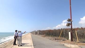 2年で被害5倍に…宮崎沿岸の松林で「松枯れ」急増　猛暑と記録的雨不足が追い打ち、防災機能低下も