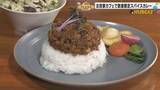 「ローマ教皇も認めた米×スパイスカレー！能登の秘境カフェが話題すぎる」の画像1