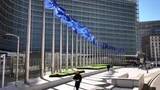 「EU、中国のアリエクスプレスに制裁金1000億円　違法商品の流通対策が不十分として」の画像1