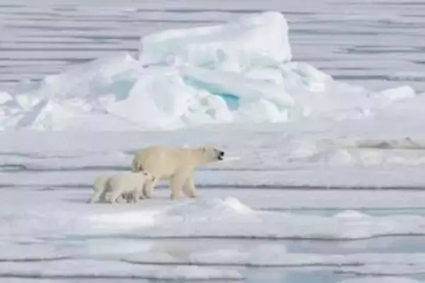 北極の海氷域面積　2年連続で観測史上最小更新　去年より約3万平方㎞減　気候や海洋環境に影響及ぼすおそれ