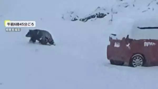 男性に覆いかぶさるクマを住民が殴って撃退　長野では除雪作業中の78歳男性が突然クマに襲われ搬送
