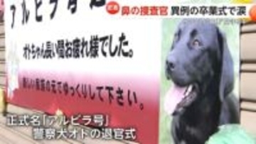 “鼻の捜査官”10歳のリタイア警察犬「オト」“元相棒”との新生活　セカンドライフは“上司と部下“から“家族“に