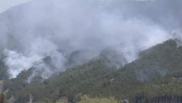 4日経つも火の勢い衰えず…岩手・大槌町の山林火災　730ha焼失、3000人超に避難指示