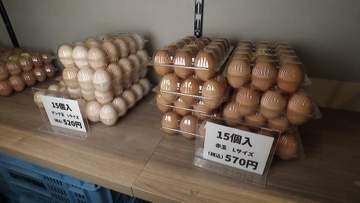 割安の“B級卵”が人気　殻にザラつき・シミも味に変わりなし　激安スーパーの大特価にはお客殺到…卵の“最高値”続く