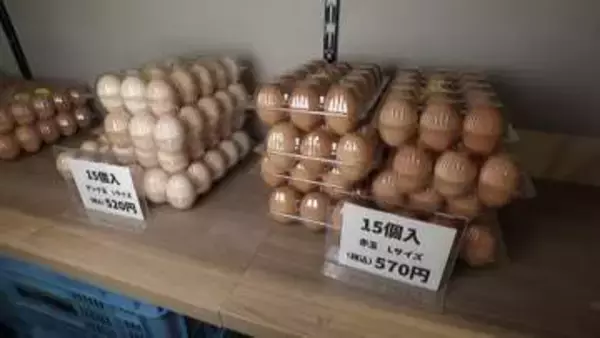割安の“B級卵”が人気　殻にザラつき・シミも味に変わりなし　激安スーパーの大特価にはお客殺到…卵の“最高値”続く