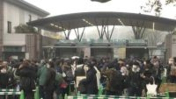 上野のパンダ“予約なし観覧”最終日で大行列　23日からはネットでの事前申し込みが必要…最終日は2026年1月25日