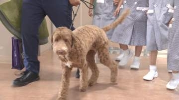 子どもに寄り添う「スクールセラピードッグ」　1年生の心の支えにも「安心して学校に入れる」「授業がんばろうと思う」