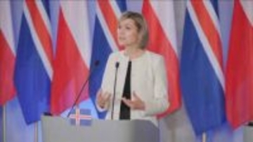 北欧アイスランド　EU加盟にむけ国民投票へ　ウクライナ侵攻などで関心が再燃