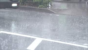 【河川洪水予報】善福寺川・野川・仙川レベル４氾濫危険警報　東京都