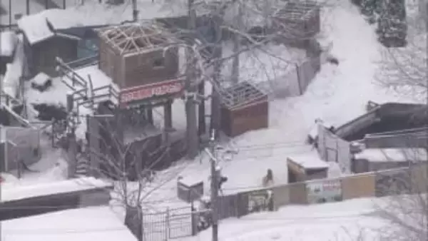 “違法建築”ノースサファリサッポロに立ち入り検査　年末の撤去期限後も獣舎…最新の状況確認　「排除命令」出すか判断へ