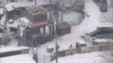 “違法建築”ノースサファリサッポロに立ち入り検査　年末の撤去期限後も獣舎…最新の状況確認　「排除命令」出すか判断へ