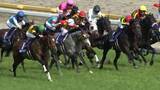 「【今週から東京競馬場で5週連続G1開催！まずは3歳マイル王決定戦NHKマイルカップ】毎年波乱模様のマイル戦　紹介する穴馬が好走する予感！」の画像1