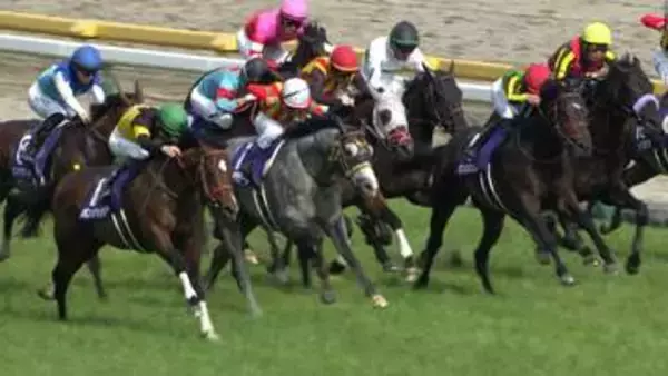 【今週から東京競馬場で5週連続G1開催！まずは3歳マイル王決定戦NHKマイルカップ】毎年波乱模様のマイル戦　紹介する穴馬が好走する予感！