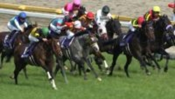 【今週から東京競馬場で5週連続G1開催！まずは3歳マイル王決定戦NHKマイルカップ】毎年波乱模様のマイル戦　紹介する穴馬が好走する予感！