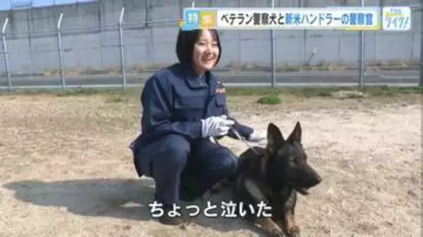 「警察犬と働きたい」幼い頃からの夢を現実に　25歳の警察官とベテラン警察犬が目指す事件捜査の最前線【広島発】
