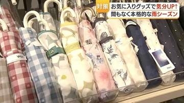 梅雨グッズ特集2026　　「ビニール傘」「高機能リュック」「保冷機能弁当箱」の注目ポイント