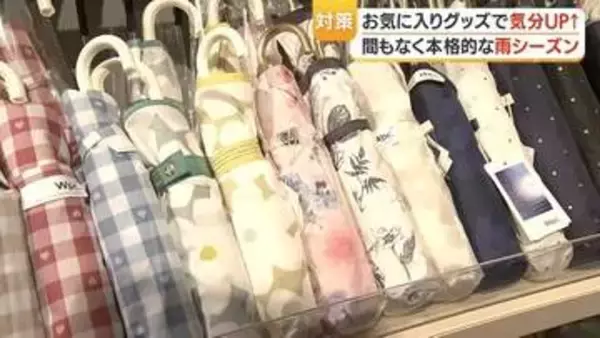 梅雨グッズ特集2026   「ビニール傘」「高機能リュック」「保冷機能弁当箱」の注目ポイント